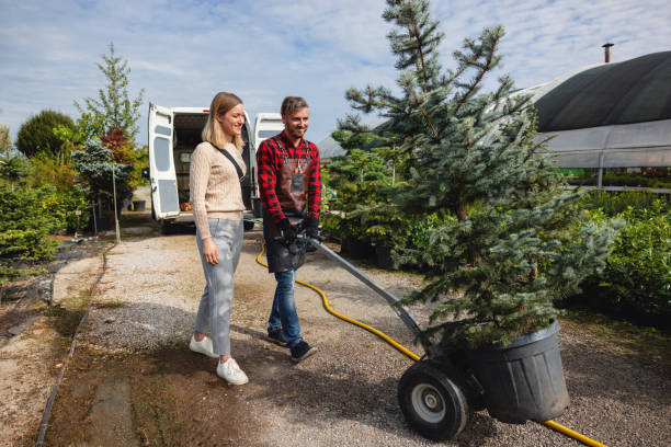 Best Arborist Consultation Services  in Thomasboro, IL